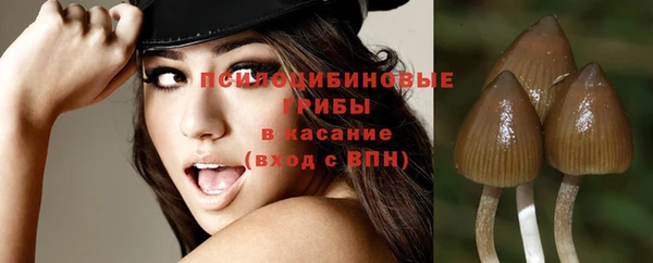 наркотики Богданович