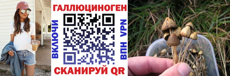 как найти закладки Краснокаменск Галлюциногенные грибы ЛСД
